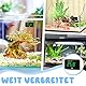 tlidfgeo Aquarium Thermometer, Tank Thermometer, Wasserthermometer, Kleben-On Mini Fischbecken Zubehör, Kabelloses Digital Temperatursensor, Geeignet für Süßwasser Meeresaquarien Reptilien