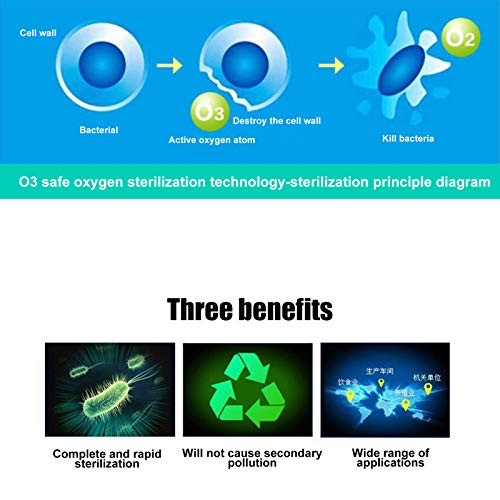 Poratable Ozone Generator,Ozone Generator Air Purifier,Ceramic Plate Air Purifier,Ozonator Sterilization 15G For Home Refrigerators Office(Ac110V)(Ac110V) #TOP5