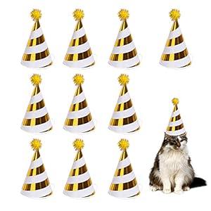 10 stuks verjaardagsfeest decoratie hoeden verjaardag party baby douche foto rekwisieten mooie kegels verjaardag papier…