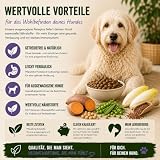 My Pet Club Vegi (1 x 14,5 kg) vegan/vegetarisches Hundefutter mit Süßkartoffel I Sensitiv & Hypoallergen I Alleinfuttermittel für Hunde ab dem 12ten Lebensmonat