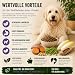 My Pet Club Vegi (1 x 14,5 kg) vegan/vegetarisches Hundefutter mit Süßkartoffel I Sensitiv & Hypoallergen I Alleinfuttermittel für Hunde ab dem 12ten Lebensmonat