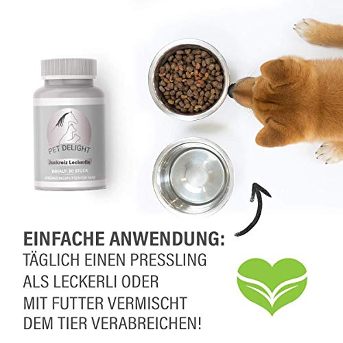 Pet Delight Juckreiz Leckerlis - Hochdosiert Vitamin Leckerli bei Hautproblemen von Haustiere, DIE Nahrungsergänzung zur Hautpflege für Katze, Hund - Anti Milben, Läuse, Flöhe, Floh - Presslinge 15g
