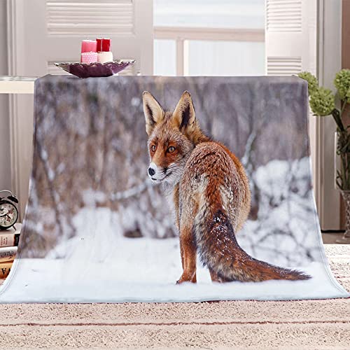 WJYMJJ Flanelle Couverture Renard dans la Neige Cozy Soft Chaudes canapé lit Molleton Couvertures, Couverture multifonctionnelle en Microfibre Toutes Saisons 150x200 cm Cover