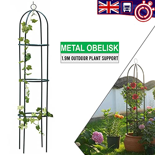 Denny Shop 1.9M Outdoor Garden Metal Obelisk Trellis Climbing Plant Support Frame By Crystals® (1) - 2