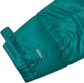 The North Face 1996 RETRO NUPTSE JACKET Nuptse Jacket, Down Jacket, Outdoor