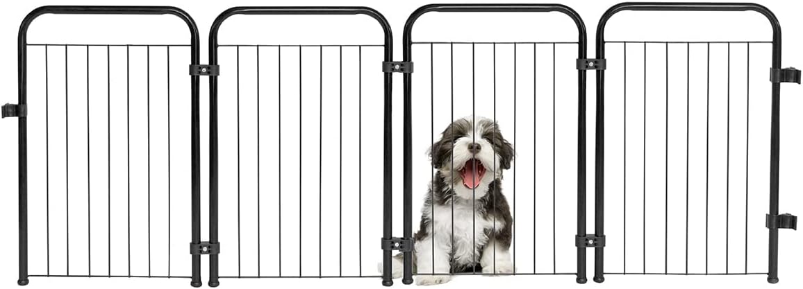 Alimentos proibidos para cães: Lista de Alimentos Tóxicos 12 Produto