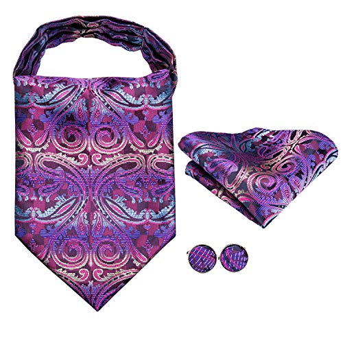 Image of MIPPO Men's Ascot Paisley Floral Jacquard Woven Gift Cravat Tie