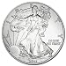 2011-1 Ounce American Silver Eagle Low Flat Rate Shipping .999 Fine Silver Dollar Uncirculated US Mint