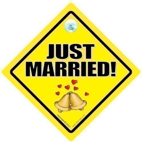 Just Married Car Sign, Just Married, Car Sign, Just Married, Wedding Gift, Baby on Board, Wedding Day Car Sign, Just Wed Car Sign, Bride to Be Car Sign, Bride and Groom Sign,