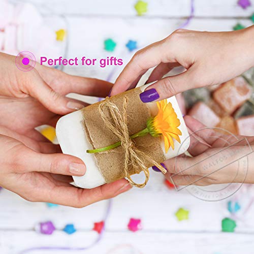 Walfos Soap Molds, 2 Size Silicone Soap Molds With Polished Surface, Easy To Release, Dishwasher Safe, Great For Homemade Craft Soap Mold, Cake Mold, Chocolate Mold & Ice Cube Tray #TOP5