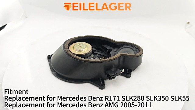 Amazon.com: Teilelager A1718200202 Front Right Passenger Side Door