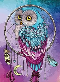 DIY Diamond Art Kits, 5D DIY Diamond Painting, DIY Diamond Painting Cross Stitch, Full Drill Diamond Picture for Adults, Diamond Paint by Numbers for Home Wall Deco(30x40cm Owl)