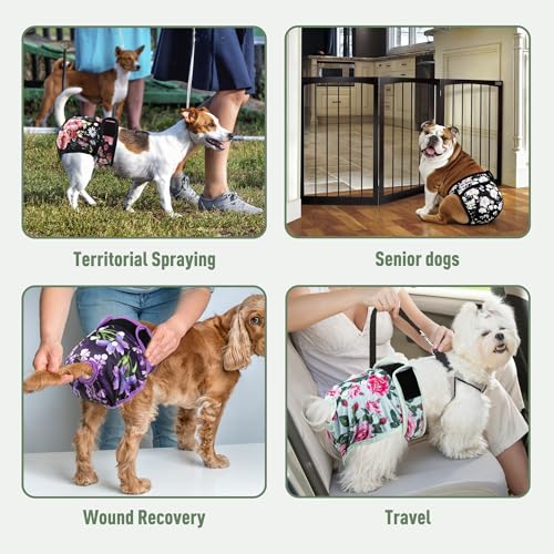 Image of Washable Reusable Female Dog Diapers(5 Pack) Small Medium Large Doggie Puppy & Doggy Dog Diaper, Period Panties in Heat Large