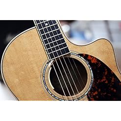 Larrivee Lv-05e Acajou Select Série Guitare électro-acoustique étui et éléphants - Les Beatles, Paul McCartney, John Lennon, RIngo Starr, George Harrison Larrivee Lv-05e Acajou Select Série Guitare électro-acoustique étui et éléphants – Image 3