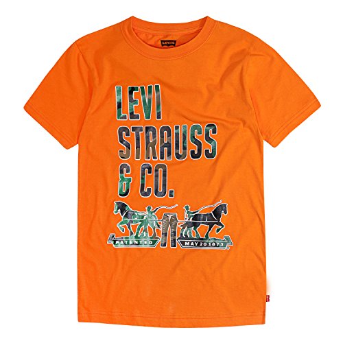 Image of Levi's Boy's Regular Fit T-Shirt