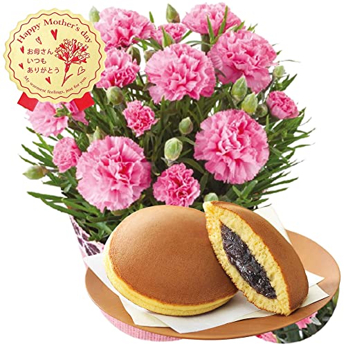 高級 母の日 2022 プレゼント 花 ギフト ランキング ピンク カーネーション 生花 花鉢 鉢植え 文明堂 どら焼き 三笠山 ギフトセット 5号鉢 小豆 粒あん あんこ 【お母さんいつもありがとうステッカー付属】プレゼント 食べ物 洋菓子スイーツ 購入者の名前で発送 高級 母の日 2022 プレゼント 花 ギフト ランキング ピンク カーネーション 生花 花鉢 鉢植え 文明堂 どら焼き 三笠山 ギフトセット 5号鉢 小豆 粒あん あんこ 【お母さんいつもありがとうステッカー付属】プレゼント 食べ物 洋菓子スイーツ 購入者の名前で発送