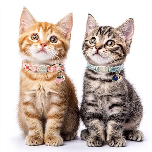 Babole Pet 2 Pack Spring Summer Cat Collars - Cute Breakaway Cat Collar with Bell, Bluberry and Strawberry Pendant, Adjustable Kitten Collars for Girl Cats, Pastel Floral Fruit by Babole Pet - Image 2