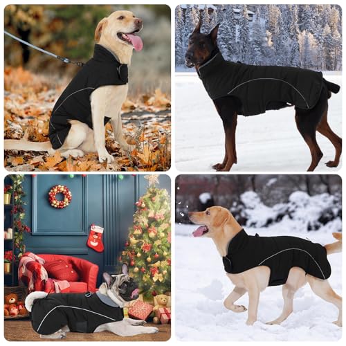 HEYWEAN Mantel Hund Wasserdicht Hundemantel Warm Winter Hundejacke Fleece Hunde Pullover Wintermantel mit D-Ring Reflektierend Hundemantel mit Klettverschluss Winterjacke Kleine Mittlere Grosse Hunde