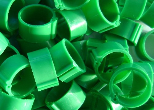 Dragon Poultry 100 Poultry Leg Rings, 8mm Clip, chicks, pigeons, tiny bantams (Dark Green)