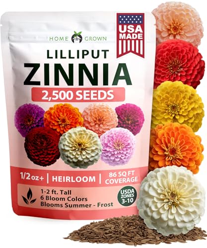 HOME GROWN Zinnia Lilliput Mix Flower Seeds for Planting Spring 2026 2500 Seeds (2g) Zinnia elegans Colorful Zinnia Seed Mix for Garden Beds Containers & Cut Flowers Easy Grow Zinnia Seeds