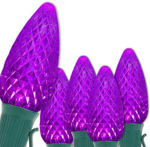 Wintergreen Lighting C9 OptiCore LED Commercial Outdoor Christmas Lights  Heavy Duty Christmas String Lights; Green Wire (25 Lights, 25 ft, Purple)