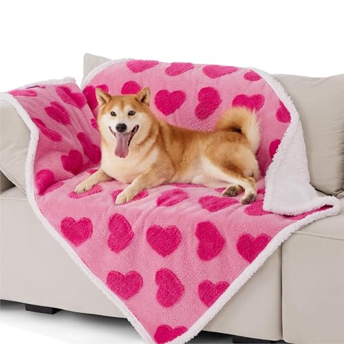 Lesure �y�b�g �u�����P�b�g �� �h���}�b�g �L �ѕz �_�炩�� �h�� �g���� �W���J�[�h���n �R��h�~ �\�t�@�[�ی� �ې� �������֗� �J��Ԃ��g���� ���^��/���^��/�L�p