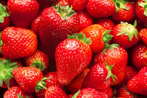 Albion Everbearing Strawberry Plants - Fruit Very Firm, Sweet, High Yields (10 Plants) Can Not Ship To California. #TOP2