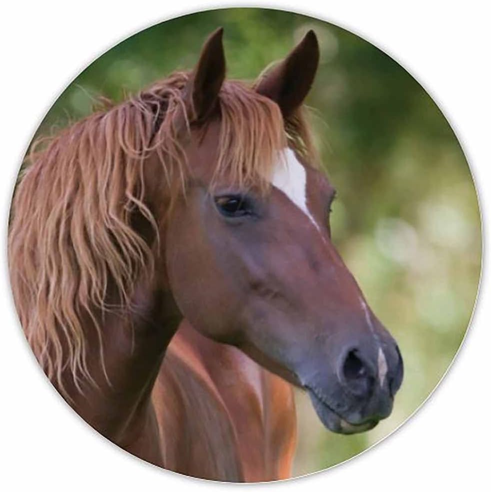 Brown Horse Head Stickers - Gift Bag or Envelope Seals - Equine Animal Theme Stationery Design - Party Favor Supplies - Set of 24 : Office Products