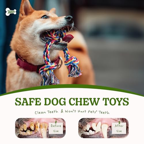 Image of 2 Pack Dog Rope Toy for Small Dogs, Durable Cotton Puppy Teething Toys | Puppy Chew Toys for Teething, Small Dog Toys for Aggressive Chewers, Interactive Tug of War Dog Toy for Puppies Boredom