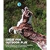 Outward-Hound-Squeaker-Ballz-Tennis-Ballz-Tennis-Max-Balls-Tennis-Maze-Craze-Squeaking-and-Fetching-Tennis-Ball-Dog-Toys Squeaky Fun Fetch Toy