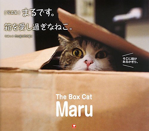 オライリー 無料電子書籍 まるです。箱を愛しすぎなねこ。 バイ