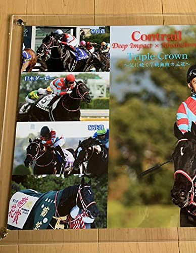 【競馬】コントレイル三冠記念・小皿セット／JRA／入手困難 競馬】コントレイル三冠記念・小皿セット／JRA／入手困難 競馬】コン