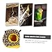 Hemoton Parrot Winter Nest Bird Bed Parrot Sleeping Hut Bird Nest Hammock Parakeet Bed