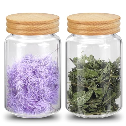 Small Glass Jars with Airtight Lid Seasoning Containers Glass Spice Jar Food Pantry Storage Containers for Kitchen Sugar Tea Coffee Bean Nuts Cookies Herbs Salt (23oz(700ml)*2pack)