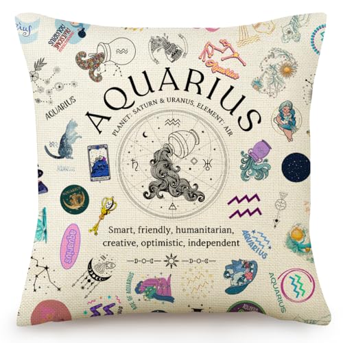 TOTEVOL Aquarius Pillow Cover 18x18, Zodiac Constellation Throw Pillow Covers for Women, Unique Astrology Gifts, Birthday Gift for Aquarius Women & Astrology Lovers