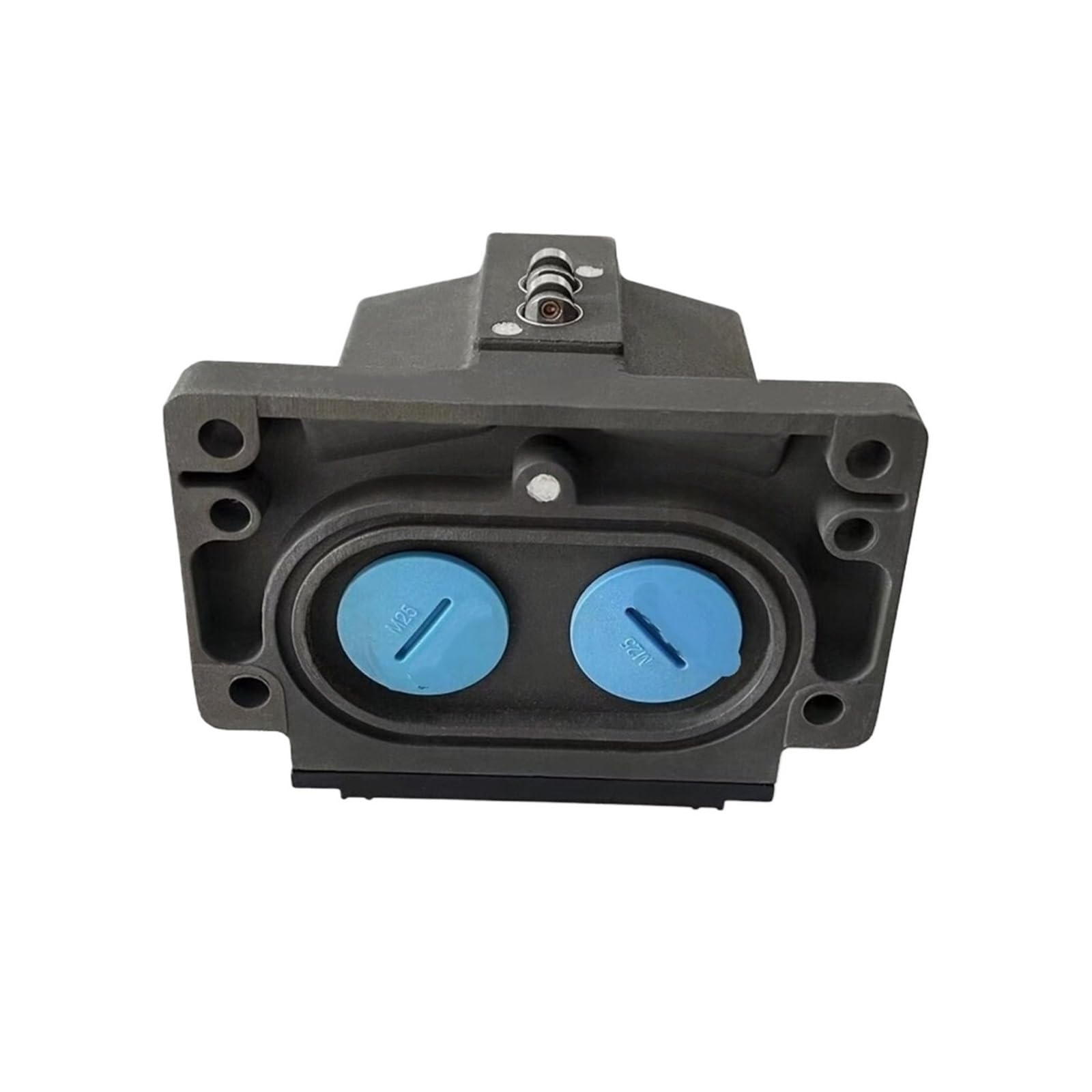 Finecorsa meccanico a posizioni multiple 250 V CA 6 A 2x Contatto a scatto con rullo for automazione BNS819-D02-R12-100-10