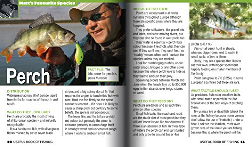 Caña telescópica de pesca para niños que quieren aprender sin enredos 5