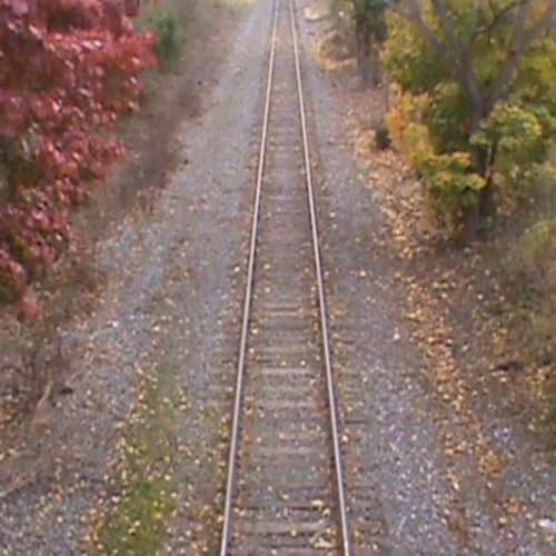 Stop Asian Hate w/ Kim Chee