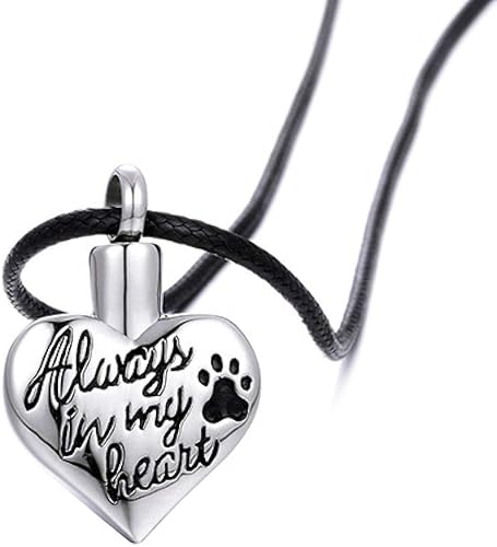 Miniatura 4 de OIJH Ataúdes Y Urnas,Artículos Conmemorativos El Amor del Acero Inoxidable del Colgante del Ataúd del Animal Doméstico Puede Abrir El Colgante En