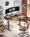 Marsail Electric Standing Desk with Drawers, 55″ x 28″ Height Adjustable Sit Stand Up Desk with Storage Shelf, Ergonomic Home Office & Computer Table with 4 Memory Heights, Rustic Brown
