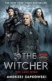 The Last Wish: Introducing the Witcher - Now a major Netflix show (English Edition)