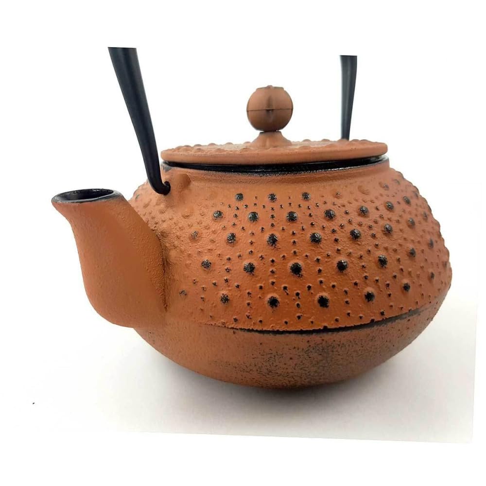 Tetera de hierro fundido (1 L), color verde