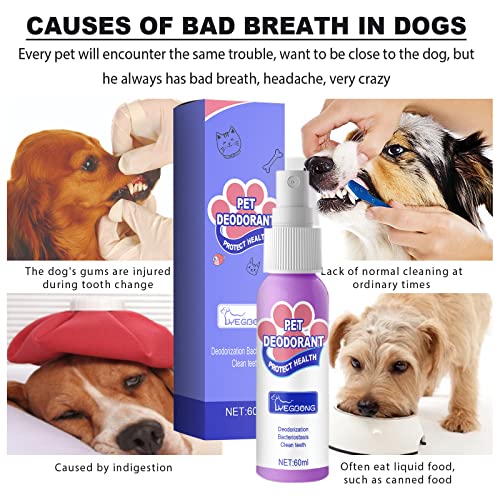 Dog Bad Breath Spray Pet Breath Freshener Pet Teeth Breath Cleaning Freshener Dog Spray Care Cleaner 60Ml Protect The Oral Health Of Cats And Dogs #TOP4