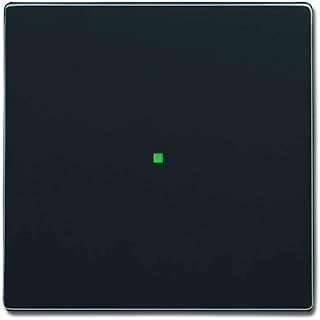 Busch-Jaeger Wippe 1-Fach 6230-10-81 anthrazit Busch-Free@Home Bussystem-Tastwippe 4011395181324