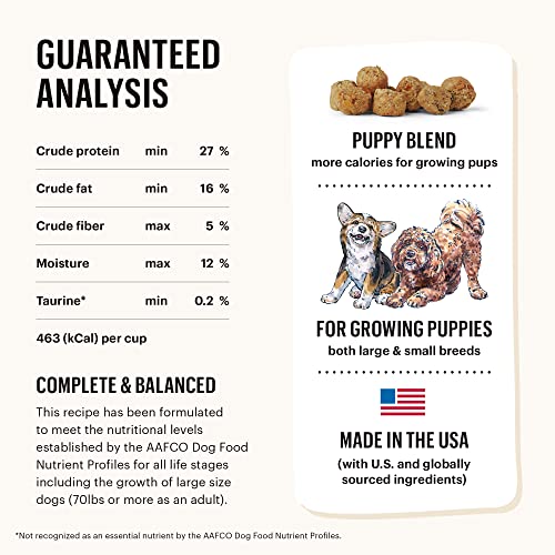 Image of The Honest Kitchen Whole Food Clusters Puppy Grain Free Chicken Dry Dog Food, 1 lb Bag (Pack of 2)
