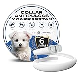 Collar Antiparasitario para Perros, 6 Meses de Protección contra Pulgas, Garrapatas y Mosquitos - 100% Natural, Impermeable, Ajustable, para Todos los Tamaños.