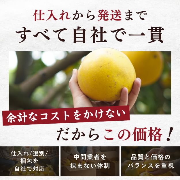 Amazon.co.jp: 文旦 土佐文旦 サイズお任せ (約20〜30玉) 訳あり ご