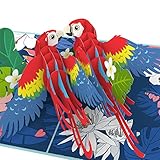 Unipop Cards Scarlet Macaws Pop Up Cards, Valentines Day Card for Anyone, Lovebirds pop up card,...