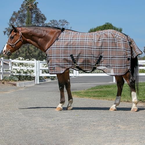 Kensington Breathable and UV Protective Sheet SureFit All Season Protection for Horse - 78", Deluxe Black - 1