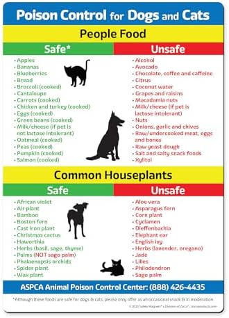 Safety Magnets by ZOCO – Safe & Toxic Foods and Plants for Dogs &...